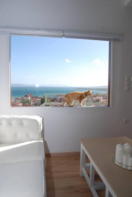 360ᵒ Lepanto Apartment Nafpaktos Luaran gambar