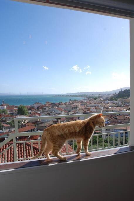 360ᵒ Lepanto Apartment Nafpaktos Luaran gambar